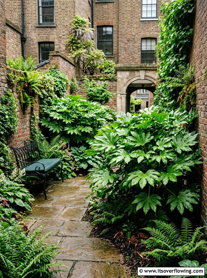 Fatsia Japonica Shade Garden - 25 creative garden ideas with sculptural plants