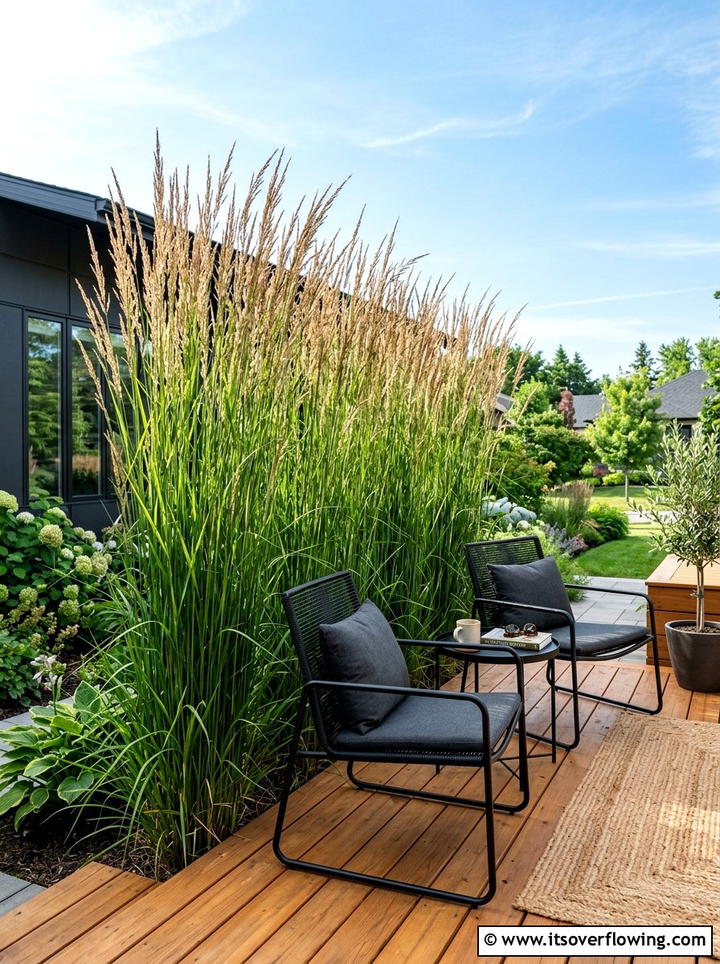 Feather reed grass privacy screen - 25 backyard ideas with ornamental grasses