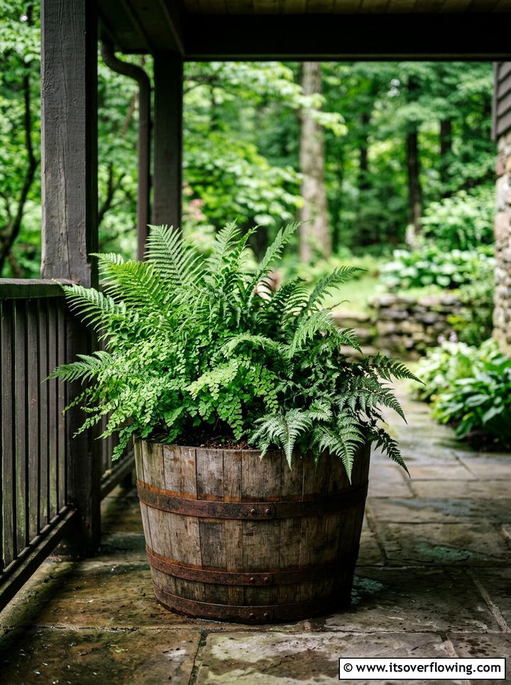 Fern Barrel Planter - 25 backyard ideas with barrel planter
