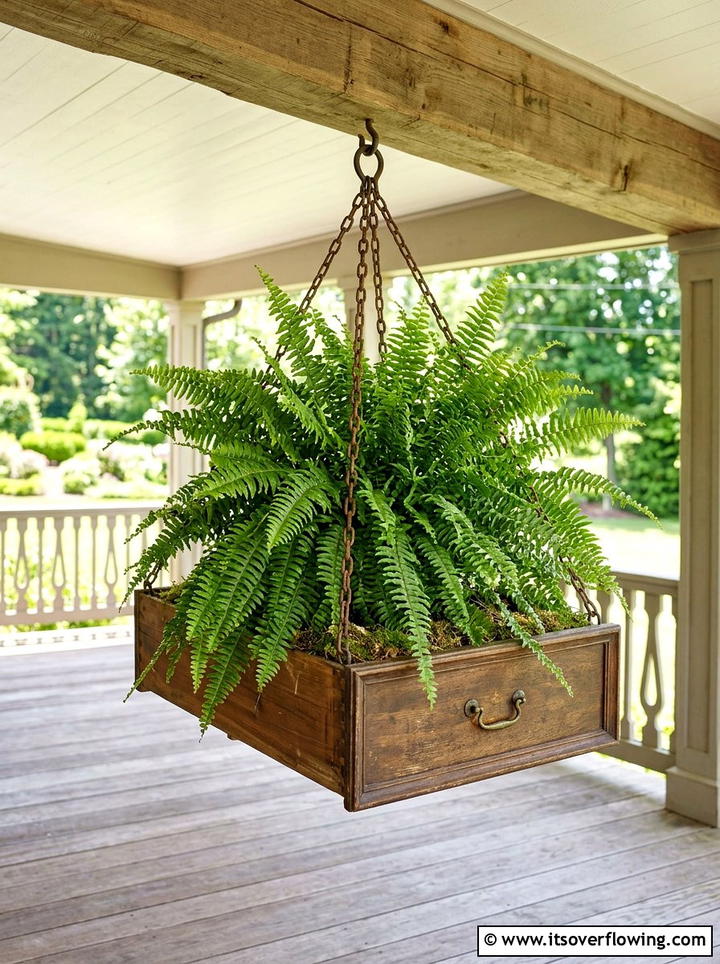 Fern Drawer Basket - 25 upcycled garden ideas with old drawers