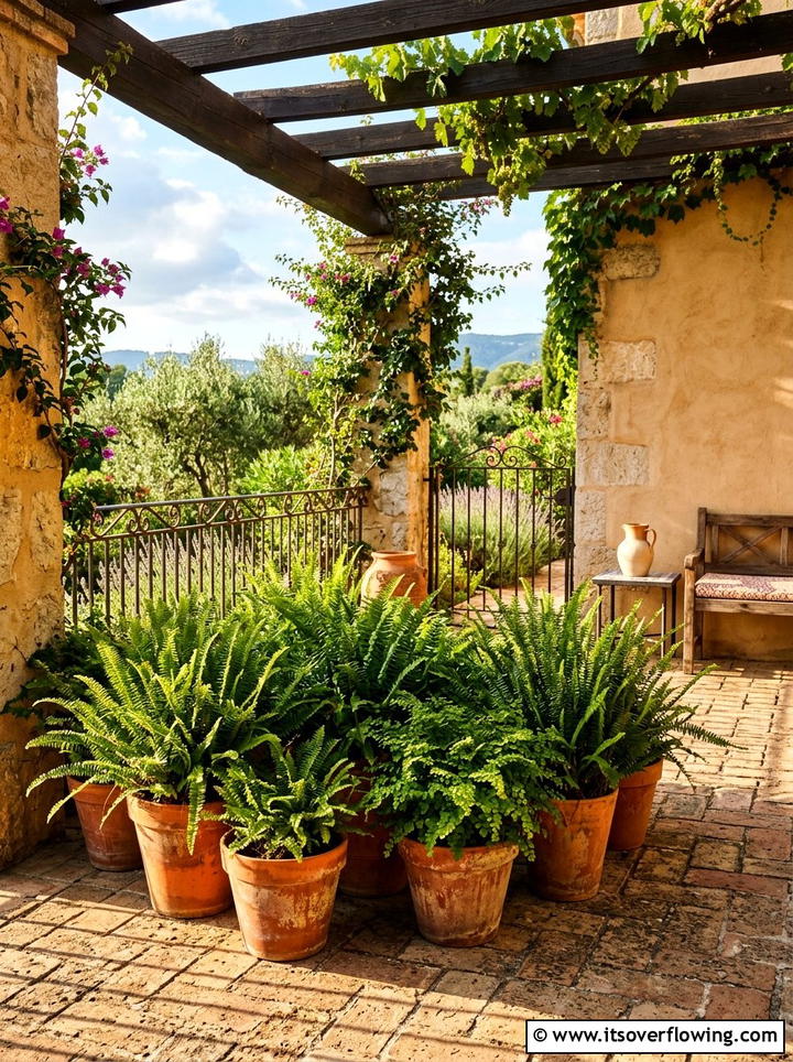 Ferns In Terracotta Pots - 25 front porch ideas with ferns
