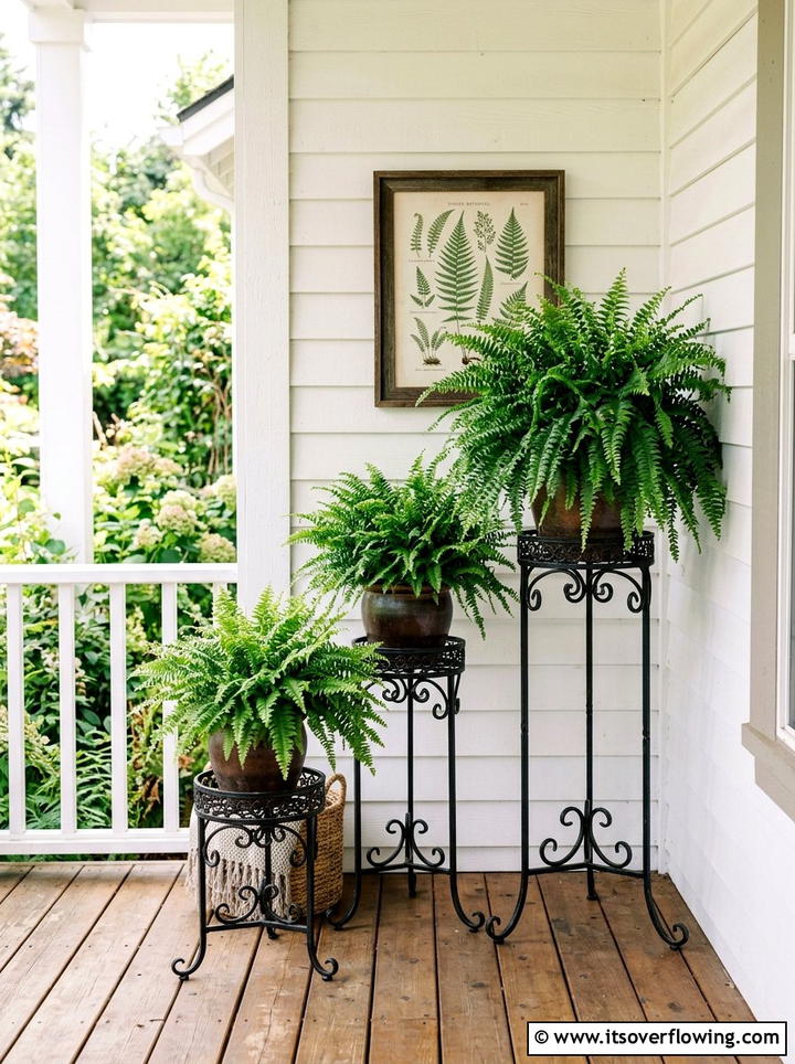 Ferns On Plant Stands - 25 front porch ideas with ferns