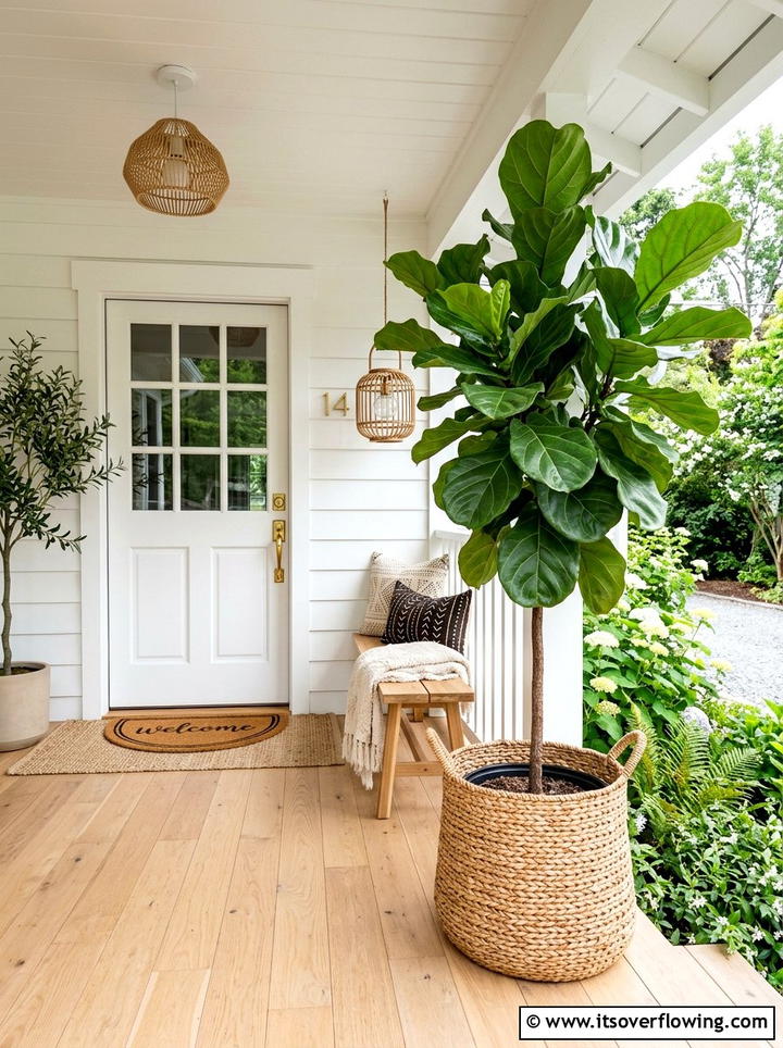 Fiddle leaf fig - 25 front porch decor ideas with year round greenery