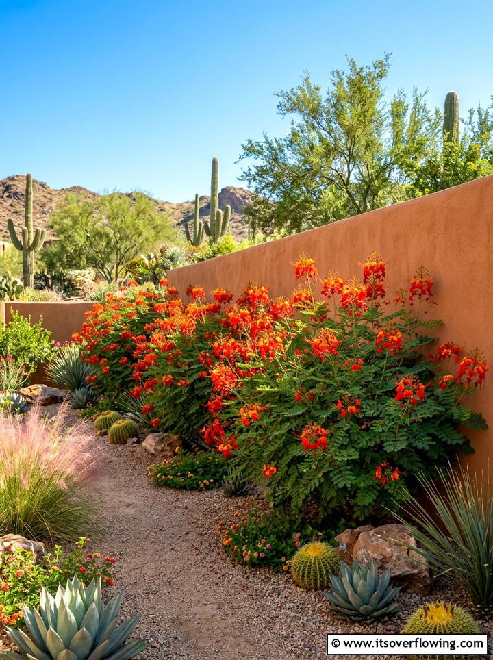 Flowering Desert Shrubs - 25 backyard ideas with desert landscape
