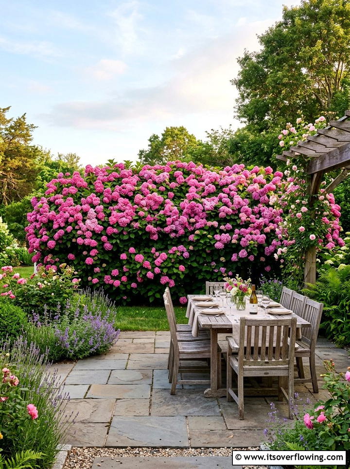 Flowering Shrub Privacy Screen - 25 backyard ideas with hedges