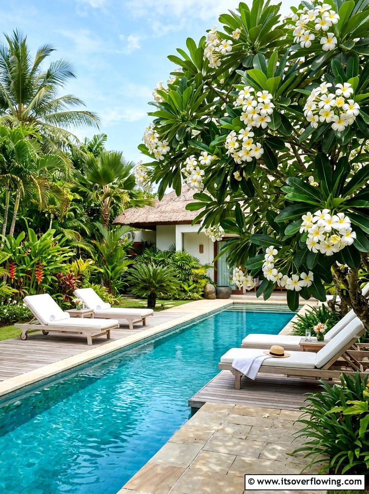 Frangipani Tropical Landscape - 25 creative garden ideas with fragrance gardens