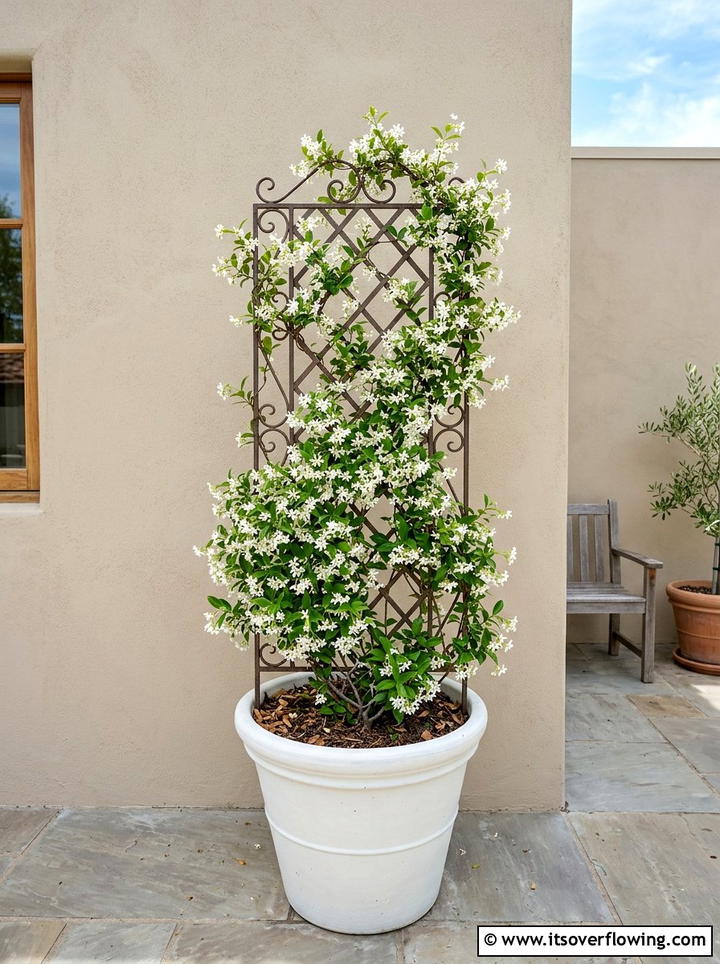 Freestanding garden trellis - 25 garden ideas for rental homes