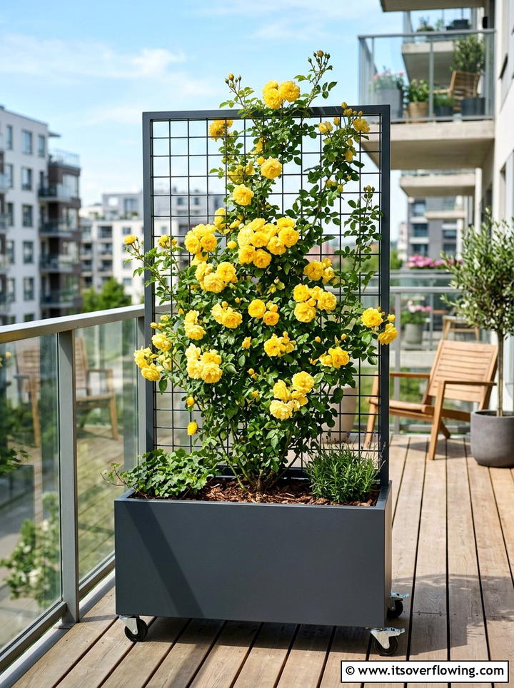 Freestanding planter with trellis - 25 garden design ideas with trellis walls