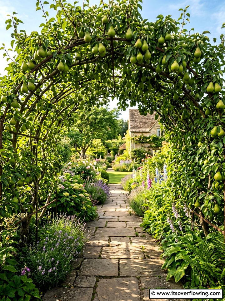 Fruit tree archway path - 25 garden ideas with fruit trees