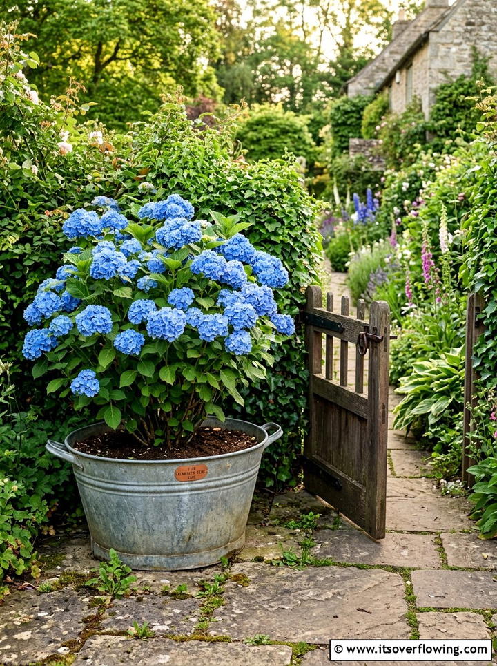 Galvanized wash tub planter - 25 garden decor ideas with antique finds