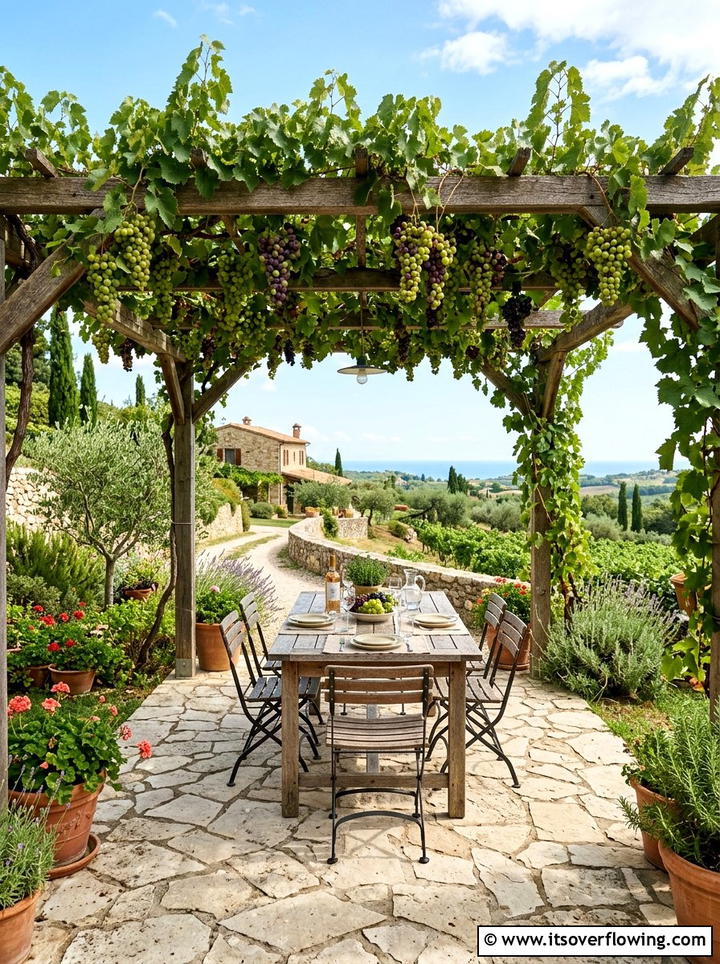 Grape Vine Arbor - 25 garden ideas with arbors