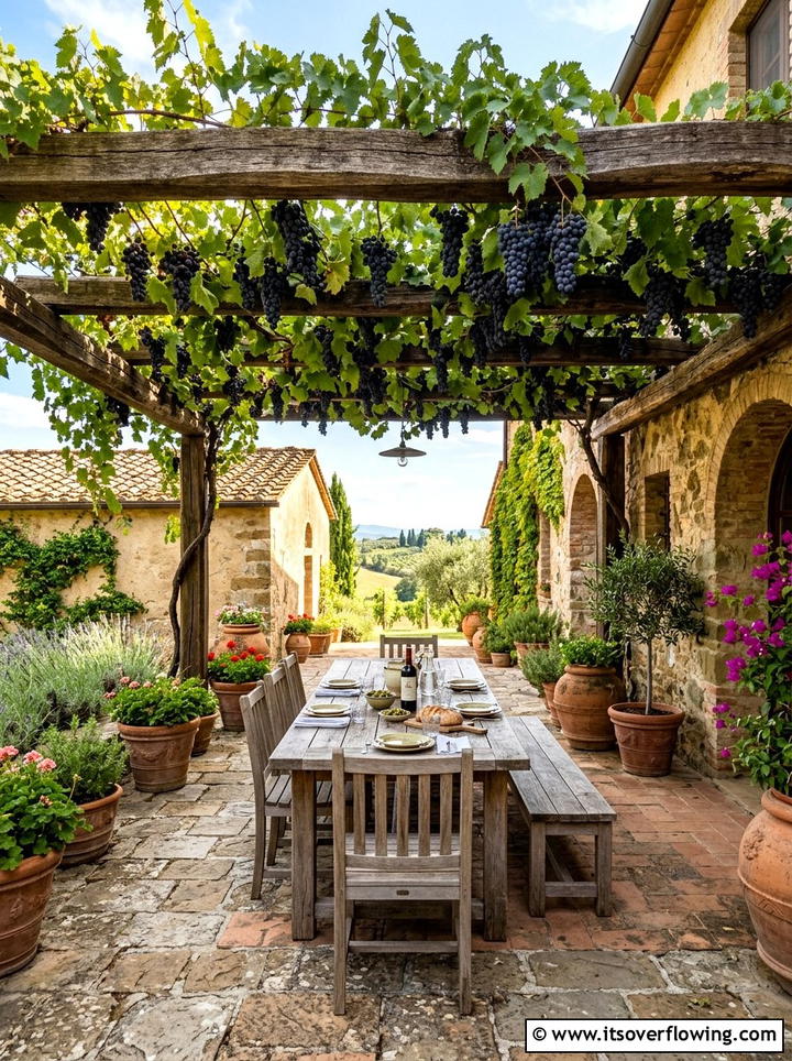 Grapevine patio shade - 25 creative garden ideas with pergola vines