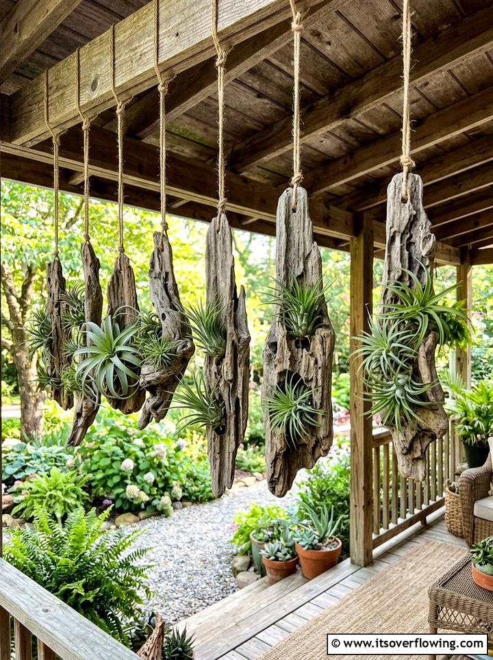 Hanging Driftwood Air Plant - 25 garden decor ideas with driftwood accents