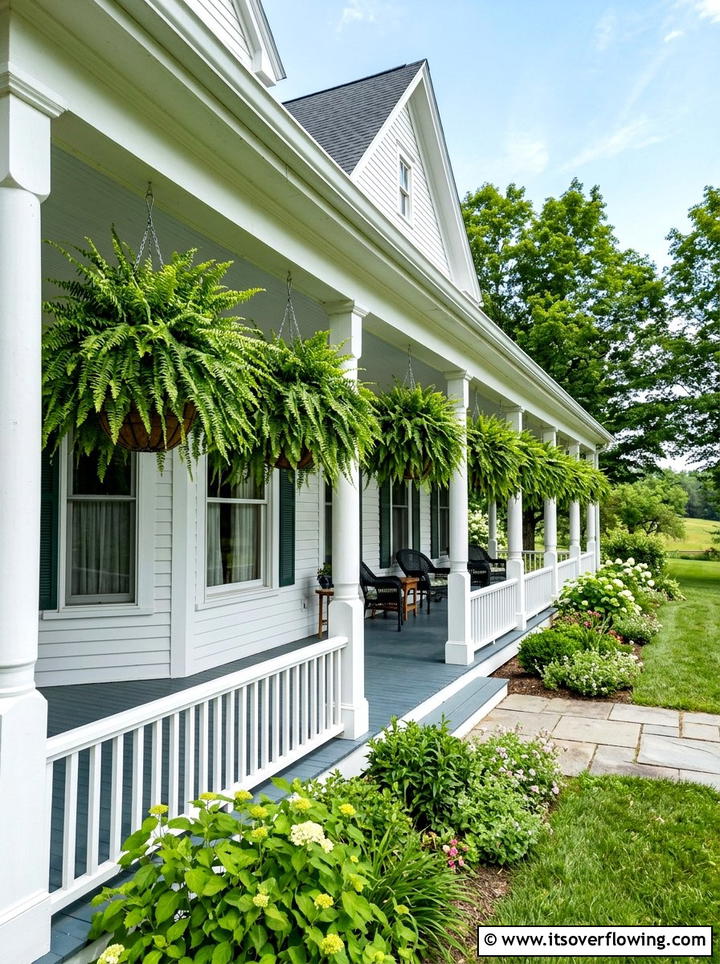 Hanging Ferns - 25 front porch decor ideas with farmhouse charm