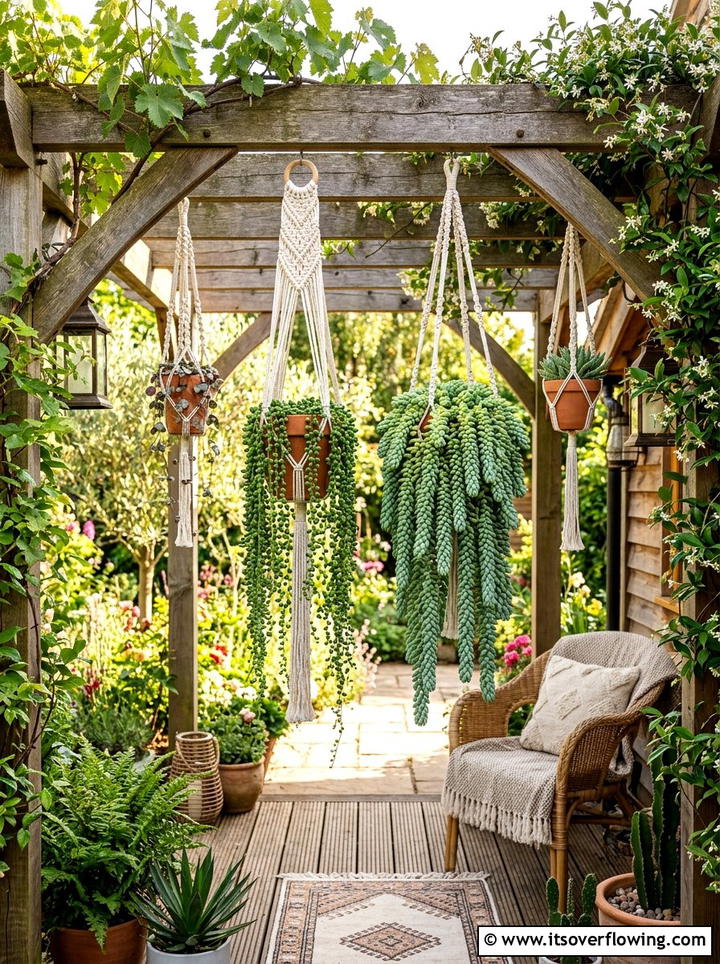 Hanging Succulent Display - 25 backyard ideas with succulents