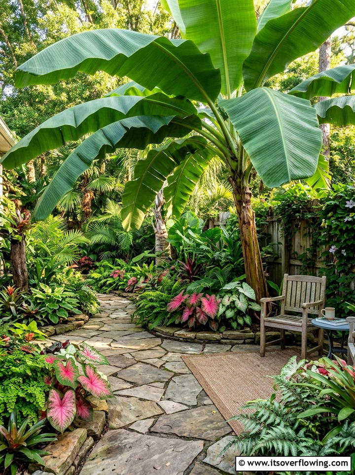 Hardy Banana Tree Corner - 25 creative garden ideas with tropical foliage