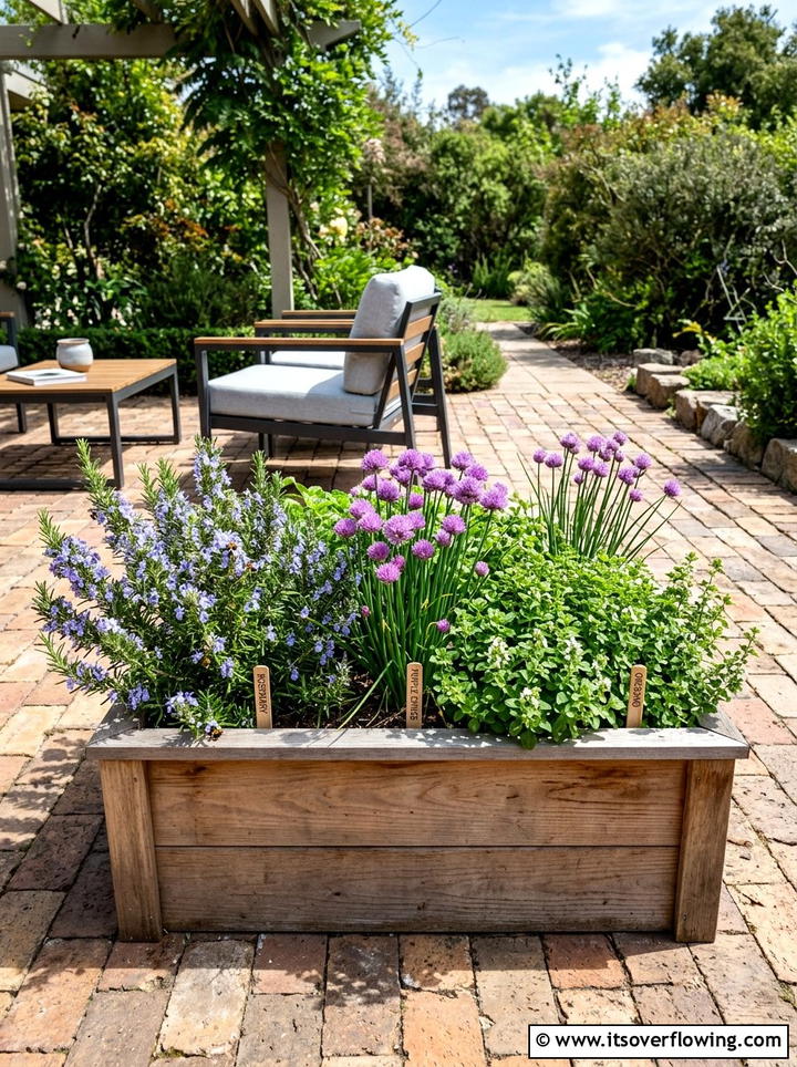 Herb garden for pollinators - 25 garden ideas with pollinator plants