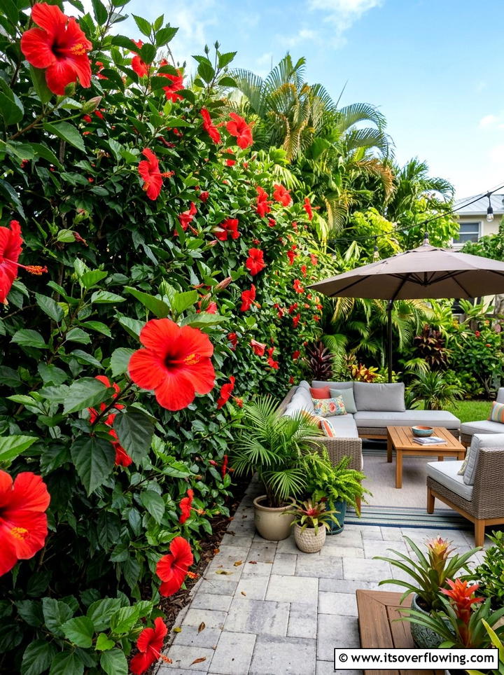 Hibiscus hedge - 25 creative garden ideas with edible flowers