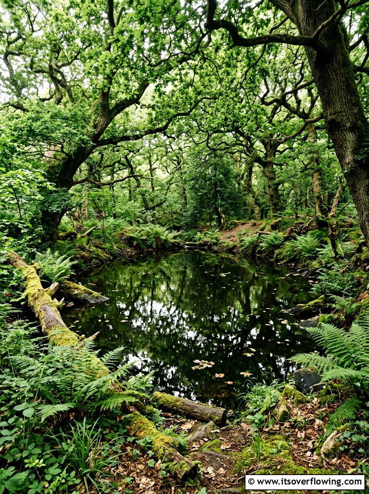 Hidden Forest Water Feature - 25 creative garden ideas with mini ponds