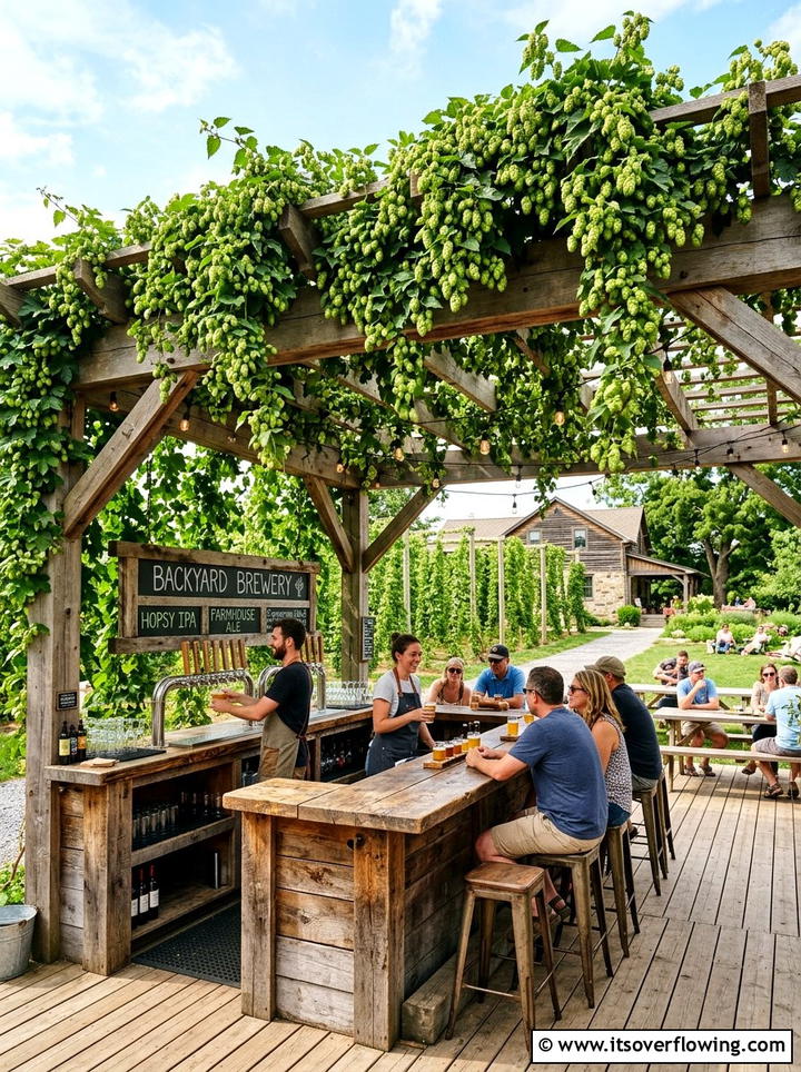 Hops vine backyard brewery - 25 creative garden ideas with pergola vines