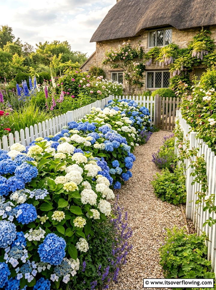 Hydrangea Border - 25 garden design ideas with low maintenance shrubs