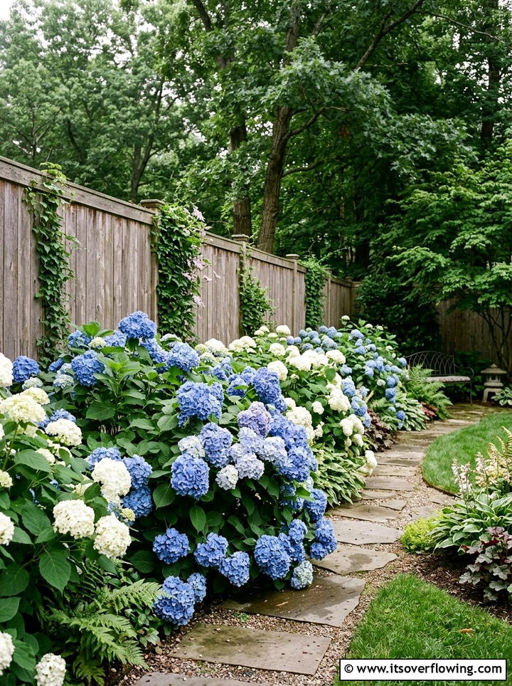Hydrangea Border - 25 garden design ideas for fence lines
