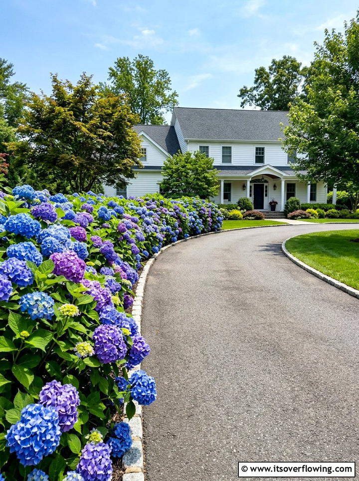 Hydrangea Garden Edge - 25 garden ideas with border plants