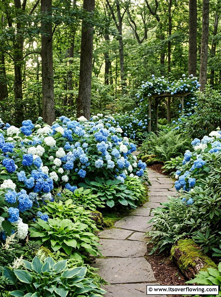 Hydrangea Garden Space - 25 garden ideas for front yards