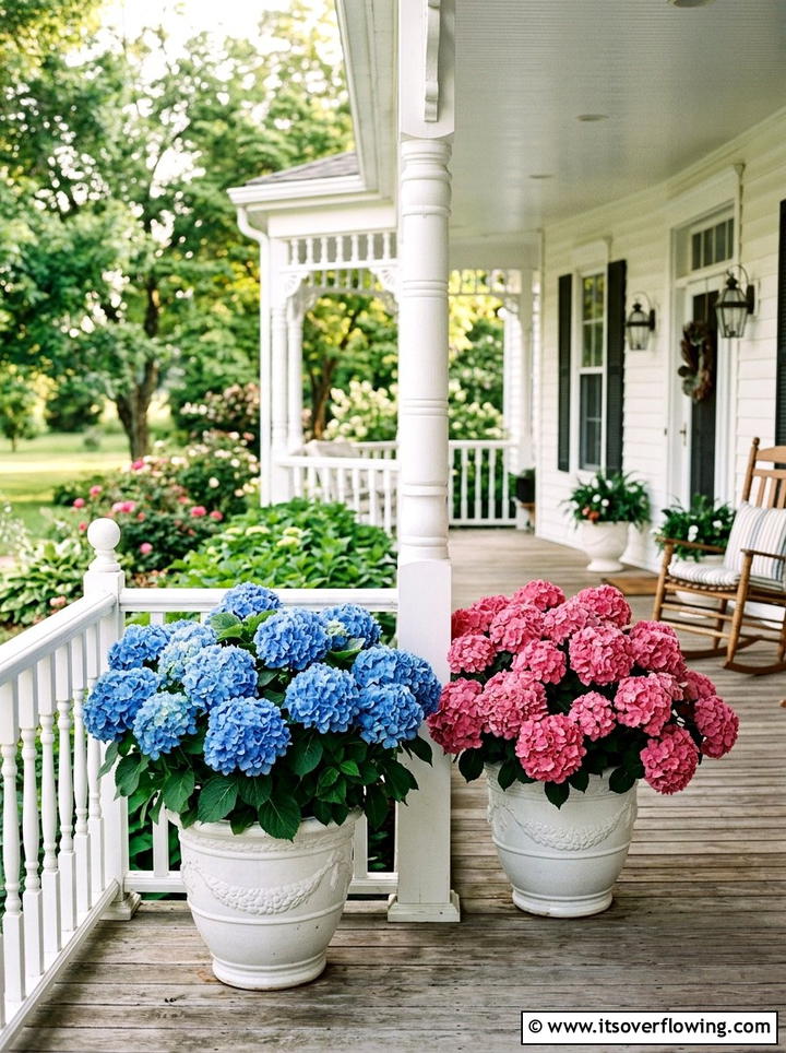 Hydrangea Porch Pots For Color - 25 creative garden ideas for porches