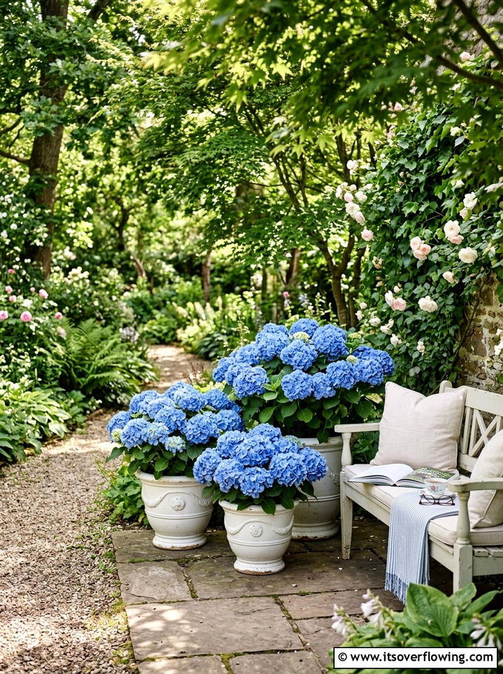 Hydrangea Pot Display - 25 front porch ideas with plants