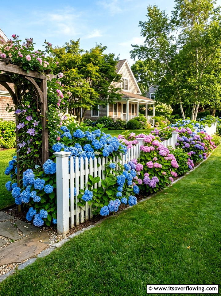 Hydrangea Privacy Fence - 25 backyard ideas with border plants