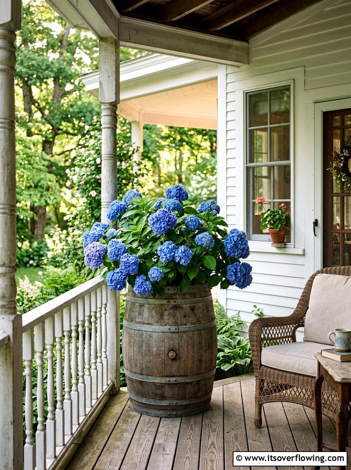 Hydrangea Shady Corner - 25 front porch ideas with shade plants