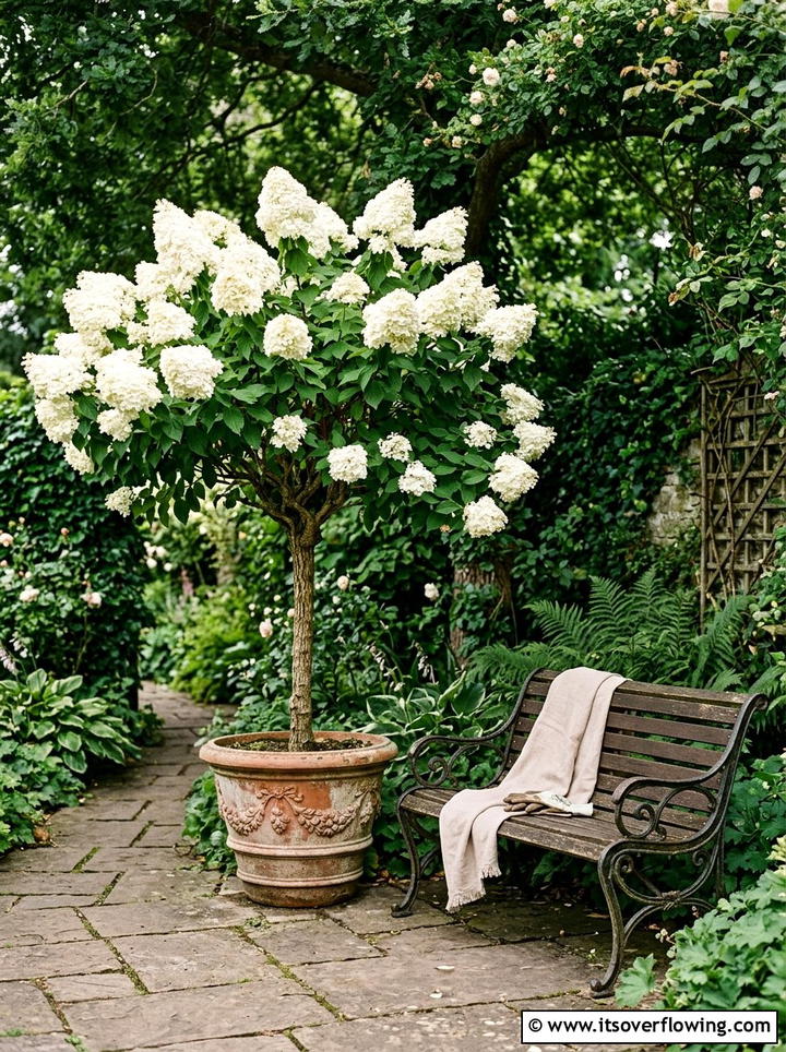 Hydrangea Tree Corner - 25 backyard decorating ideas with potted trees