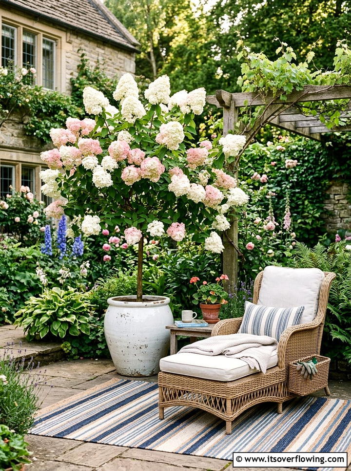 Hydrangea Tree - 25 small garden ideas with dwarf trees