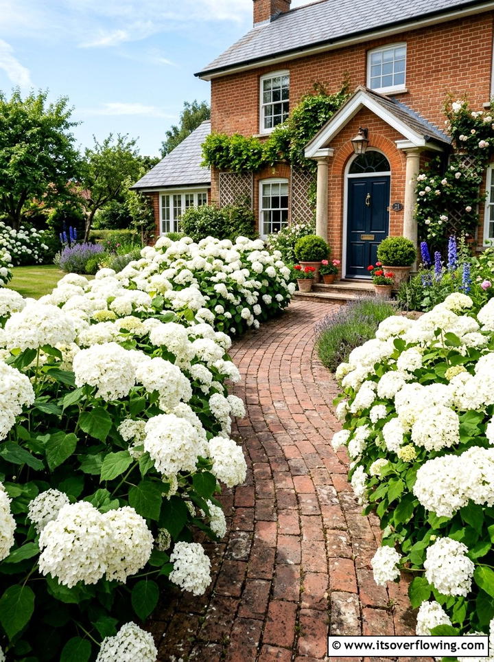 Hydrangea Walkway - 25 garden ideas for farmhouse homes