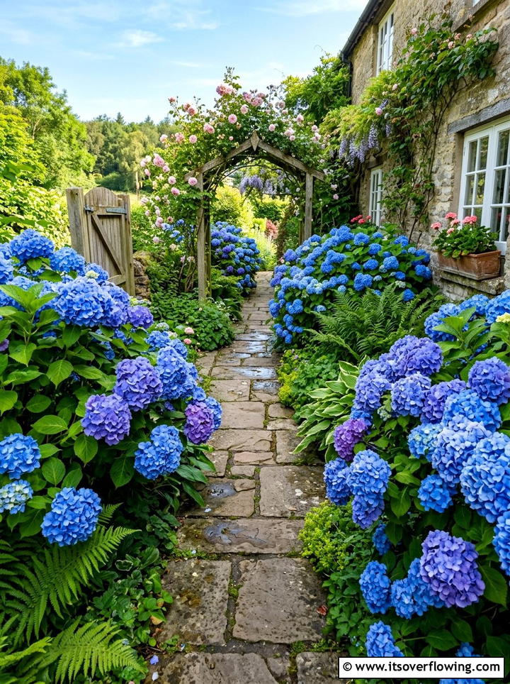 Hydrangea Walkway - 25 garden decor ideas for side yards