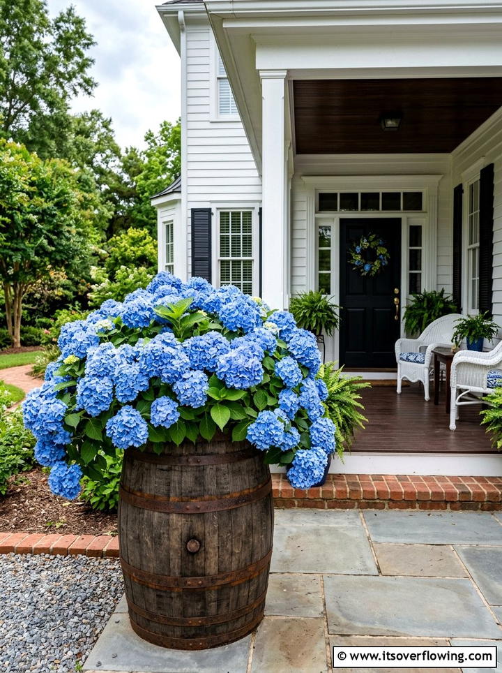 Hydrangea barrel planter display - 25 front porch ideas with barrel planters