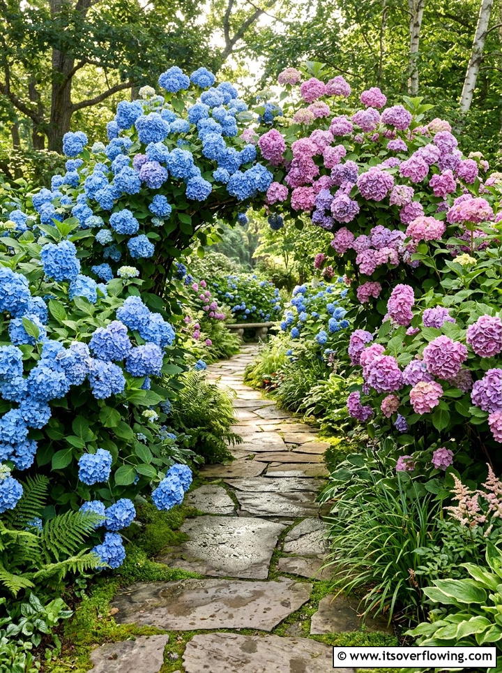 Hydrangea garden path - 25 creative garden ideas with maximal flower color