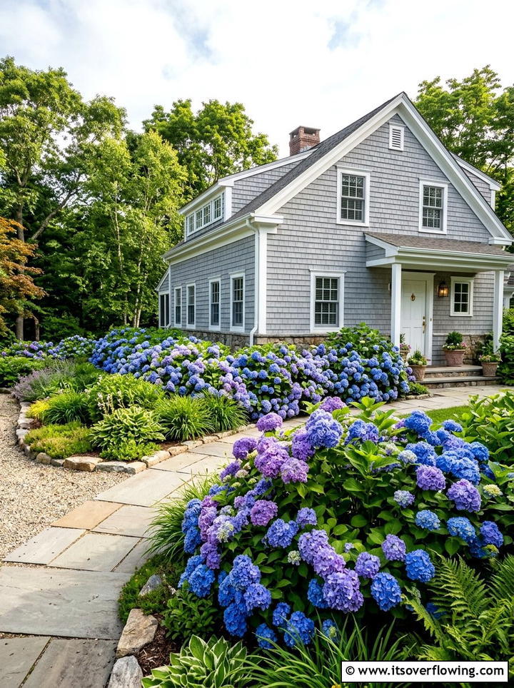 Hydrangea landscape - 25 garden ideas for traditional homes