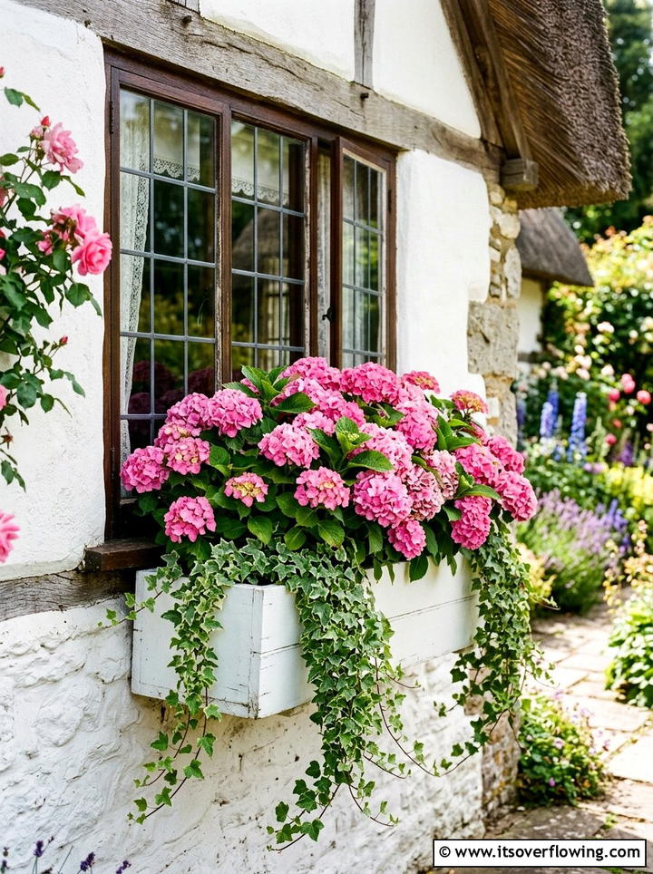 Hydrangea window box display - 25 garden ideas with hydrangeas