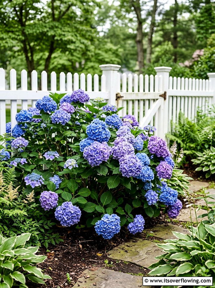 Hydrangeas In Shade - 25 garden ideas for shade