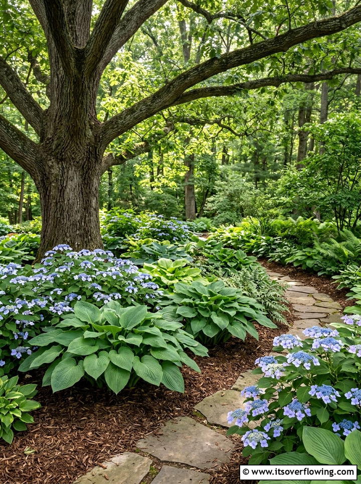 Hydrangeas and hostas shade garden - 25 garden ideas with hydrangeas