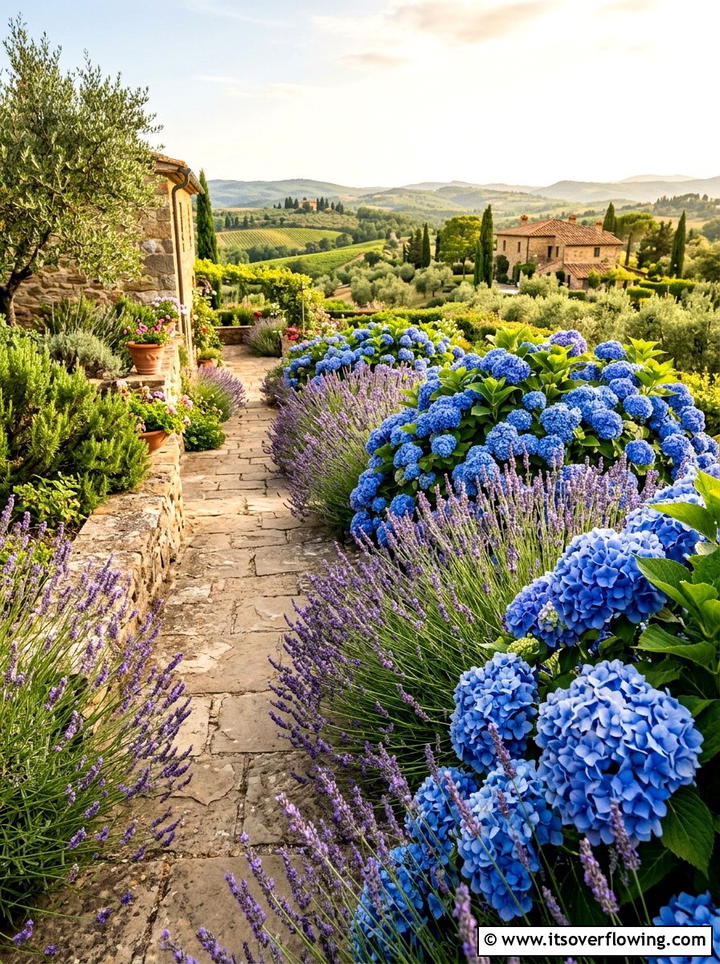 Hydrangeas with lavender landscape - 25 garden ideas with hydrangeas
