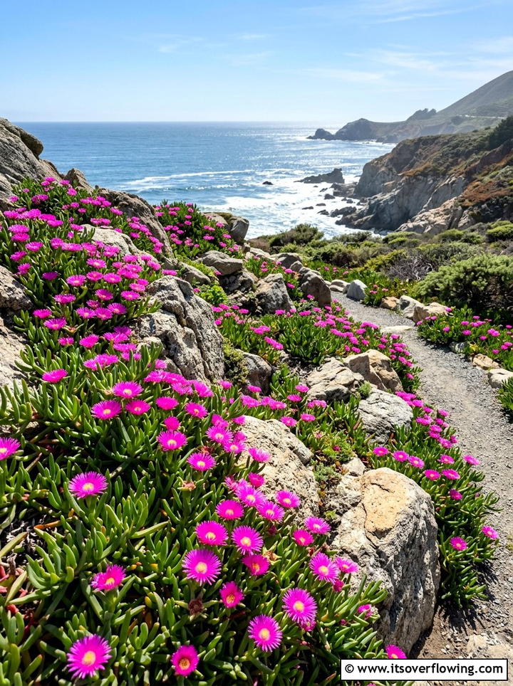 Ice Plant Rockery - 25 backyard ideas with ground cover plants
