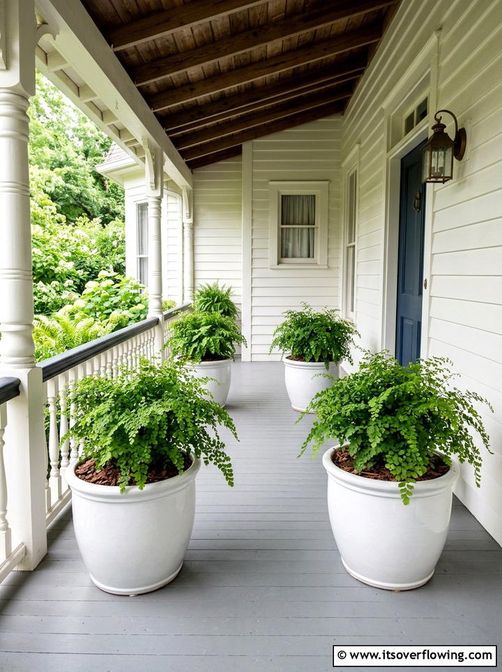 Identical Potted Ferns - 25 front porch decor ideas with symmetrical layout