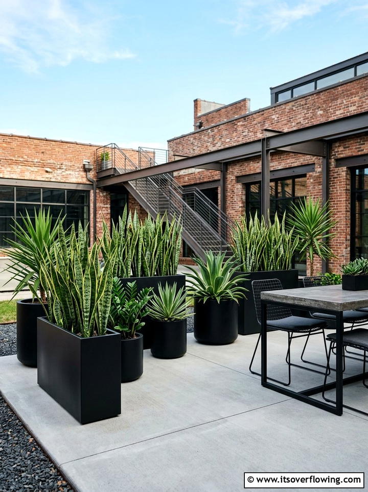 Industrial garden with matte black containers - 25 creative garden ideas with painted planters