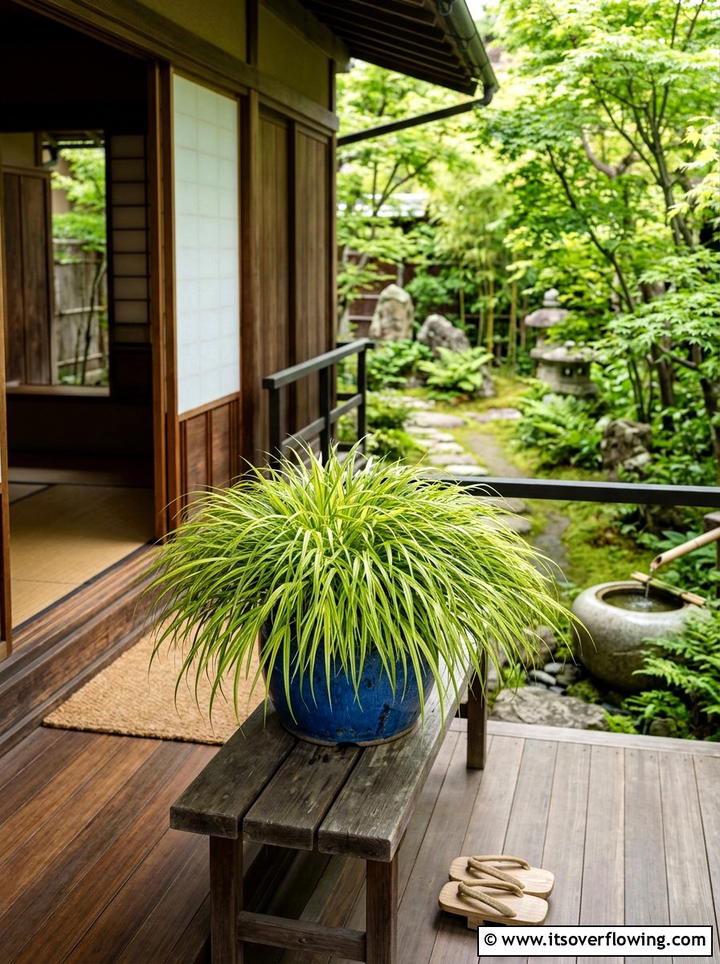 Japanese Forest Grass Planter - 25 front porch ideas with shade plants