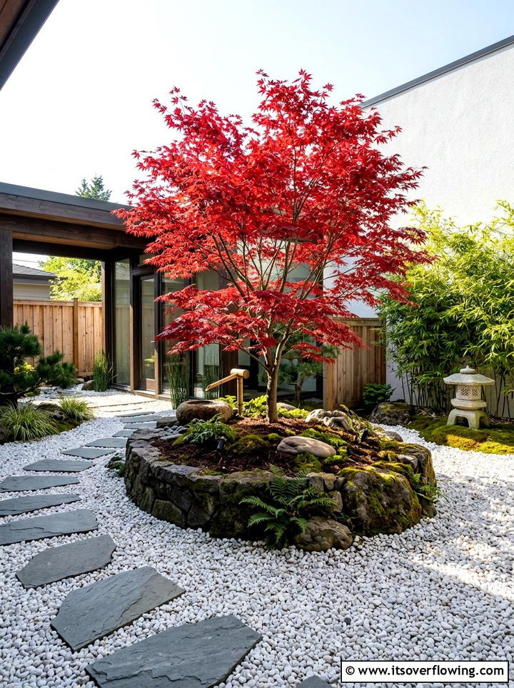 Japanese Maple Focal Point - 25 garden ideas for courtyards