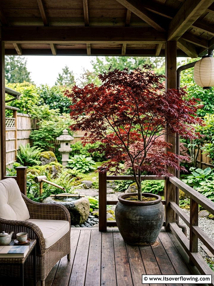 Japanese Maple Tree - 25 front porch ideas with real plants