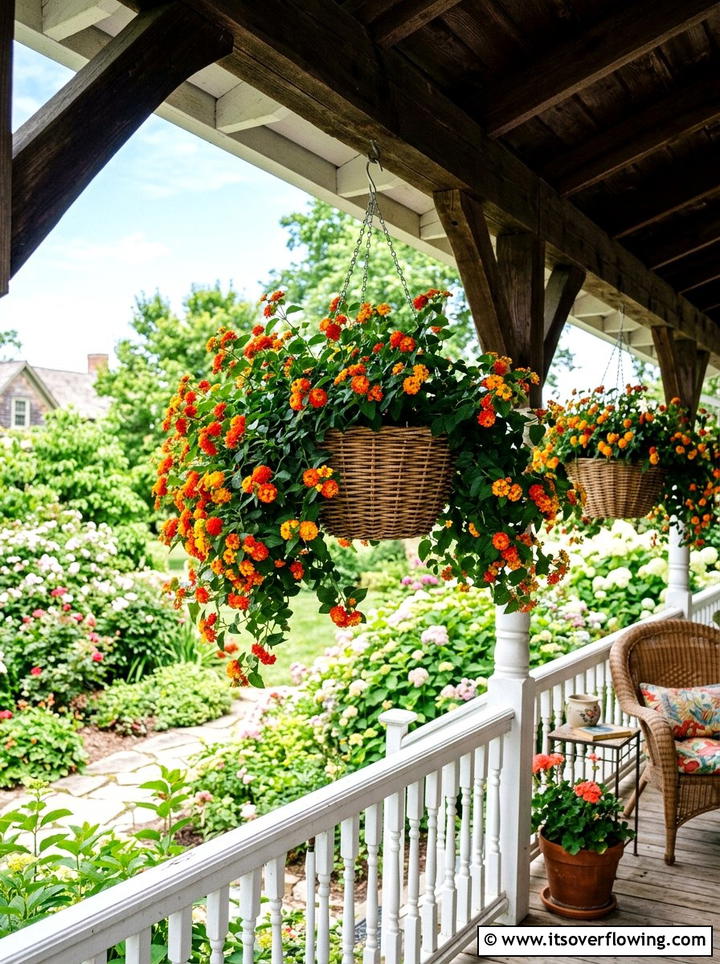 Lantana Flowers In Hanging Baskets - 25 front porch ideas with drought tolerant plants